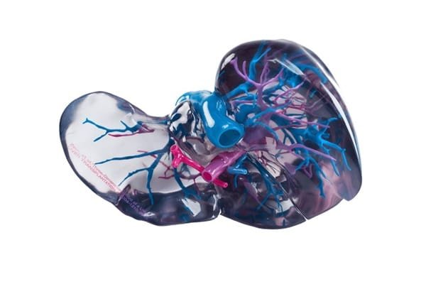 vero vivid colors polyjet 3d printing color printing sla pritning sls printing metal 3d printing manufacturing prototyping services in mumbai 600